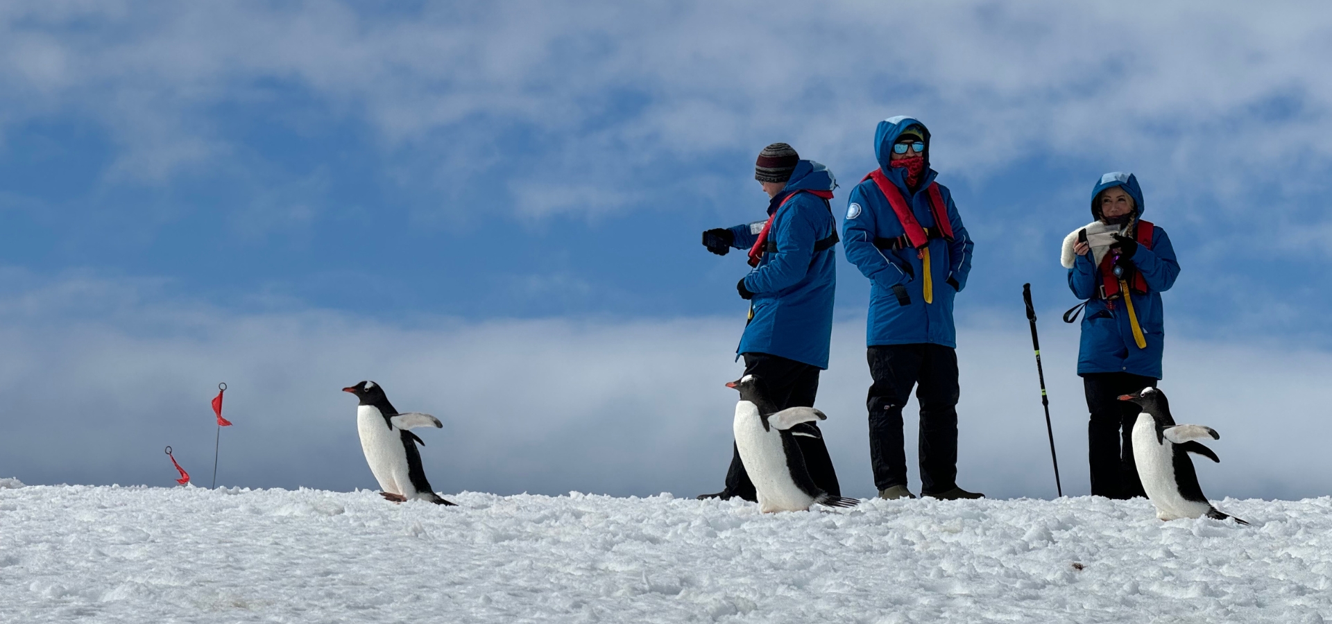 Tres turistas disfrutando del límite de 100 pasajeros IAATO junto a pingüinos en desembarco Antártida