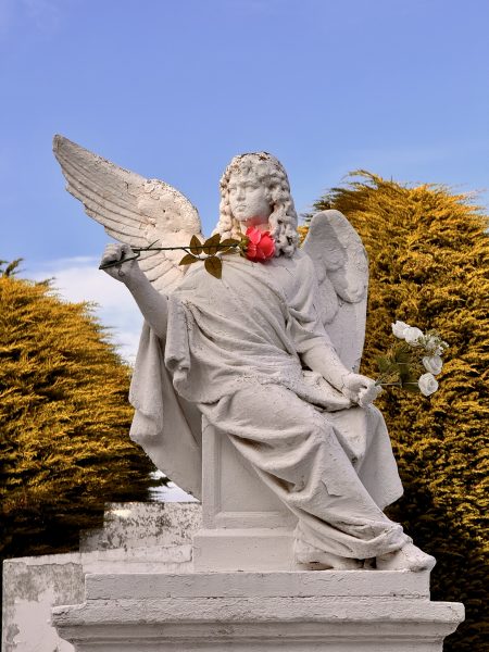 Ángel y cipreses compactos en el cementerio de Punta Arenas, ciudad de salida para el vuelo a la Antártida