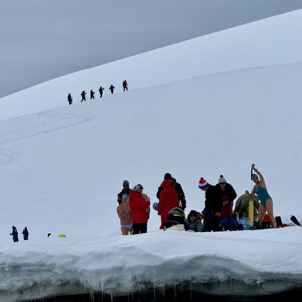 Pasajeros en bañador preparan nadar aguas heladas Antártida, fondo senderistas raquetas nieve (límite IAATO 100).